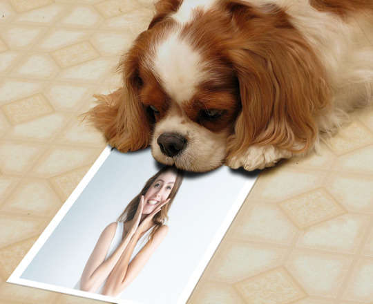 Montagem de Foto - Cachorro