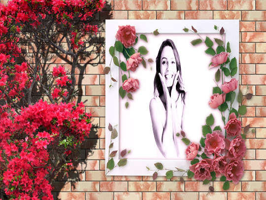 Montagem de Foto - Flores vermelhas